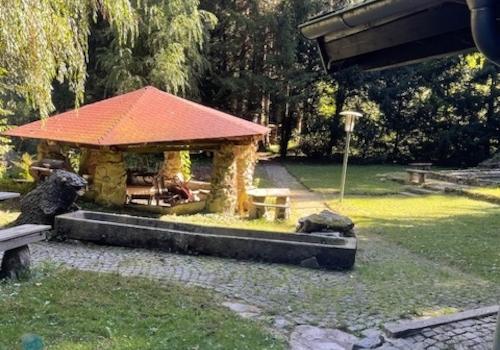 Blick z.Pavillon.jpg