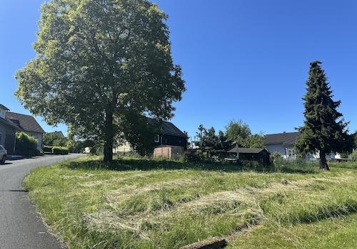 Grundstück