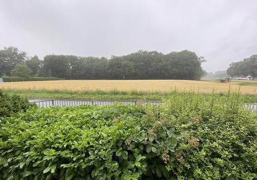 Aussicht aus Büro