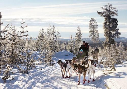 Husky-Schlittenrtour