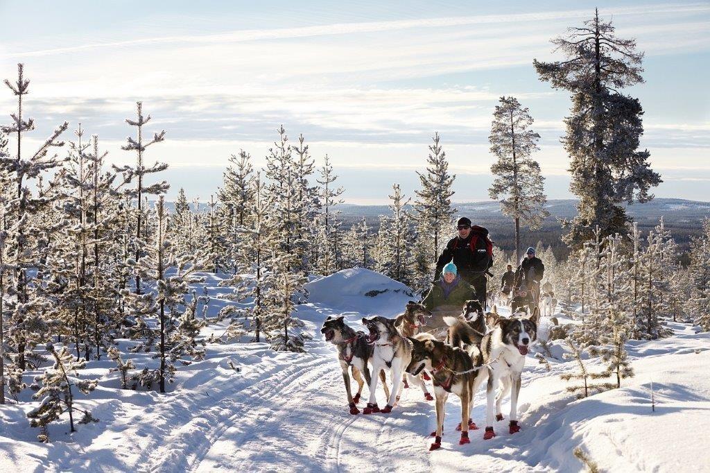 Husky-Schlittenrtour