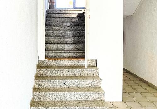 Zum DG