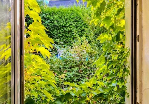 Blick von Kochen zu Grün (2)