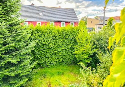 Blick aus Schlafen 2