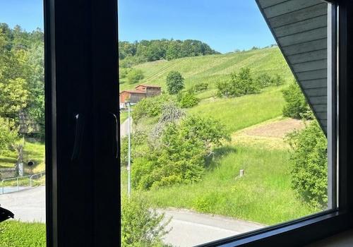 Ausblick Wohnzimmer