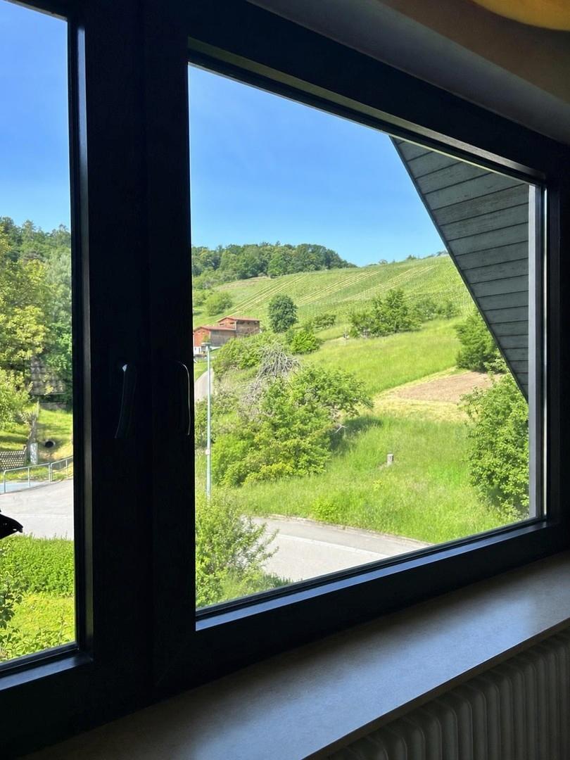 Ausblick Wohnzimmer
