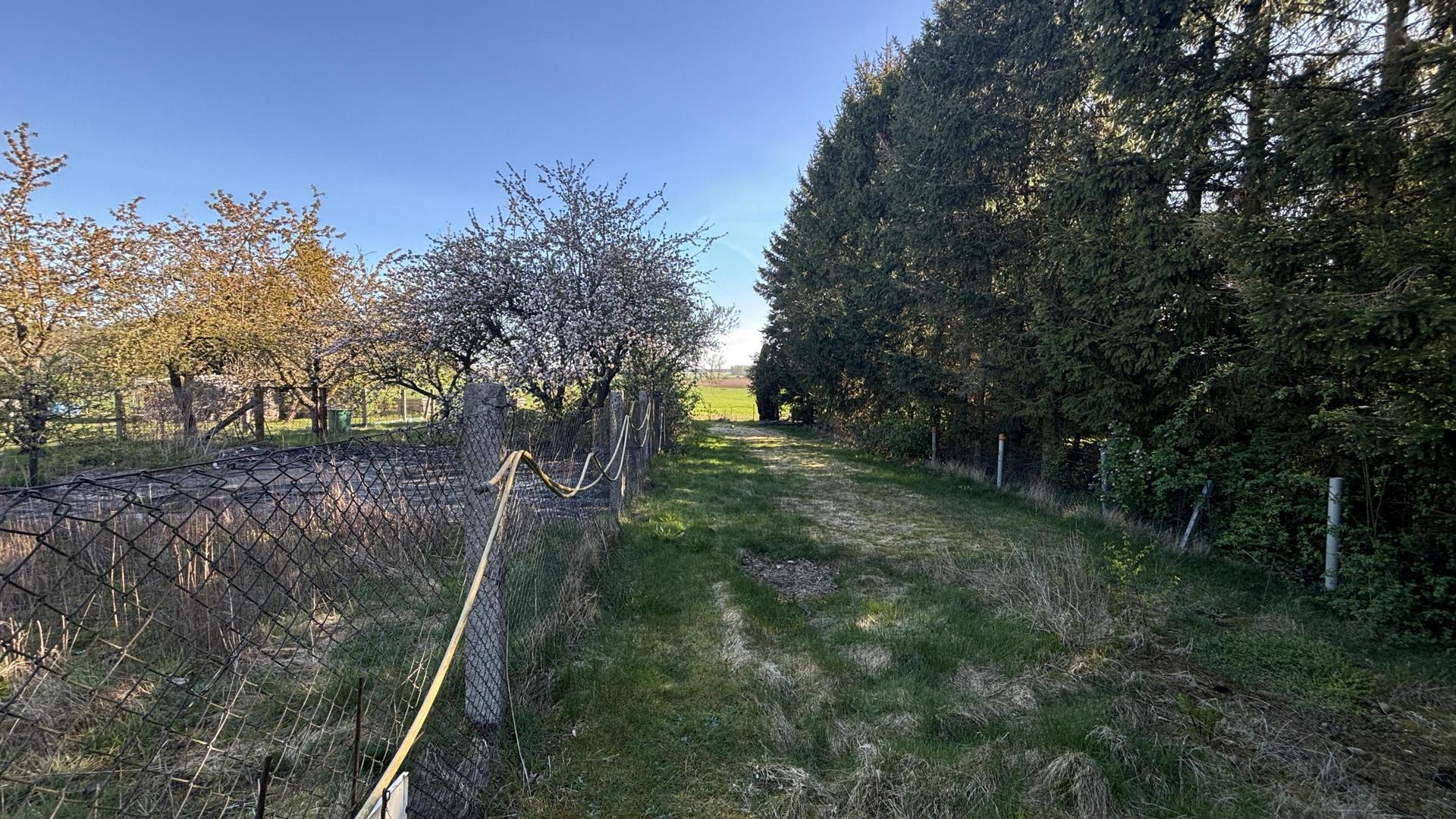 Gartenbereich