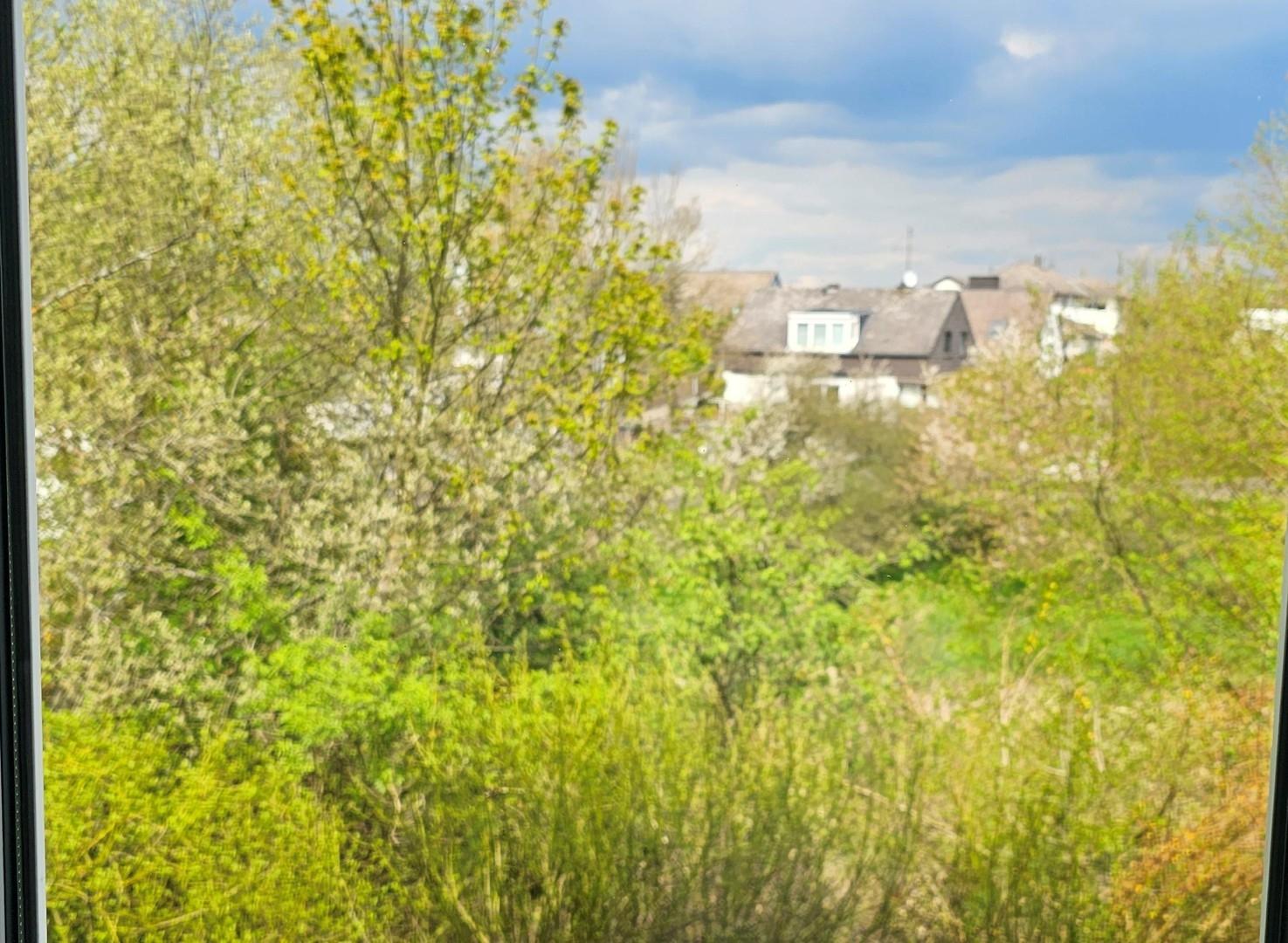 Blick ins Grüne