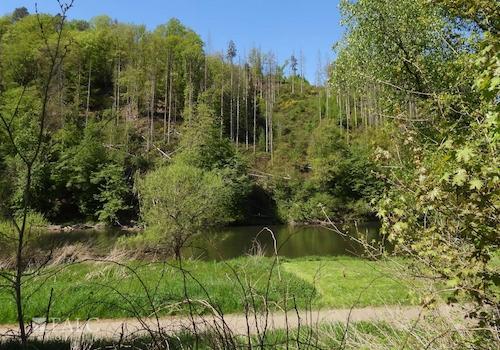 Ausblick Sieg