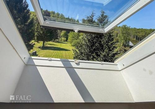 Fensteransicht