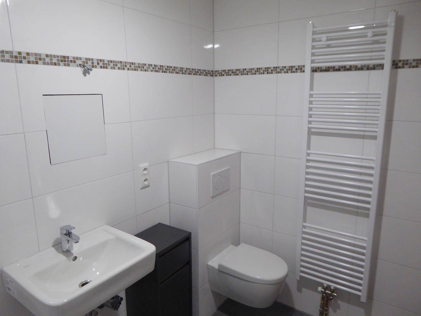 Hänge WC und Handtuchheizkörpe