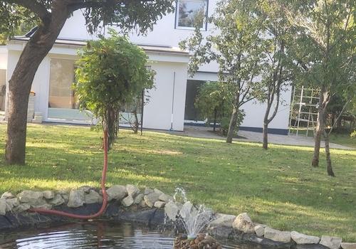 Garten mit Teich und Weinreben
