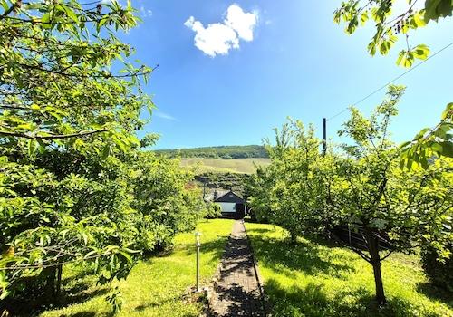 Obstbäume