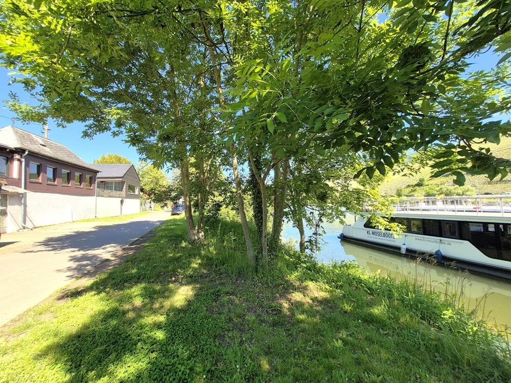 direkte Ufer-Lage am Bootsanleger