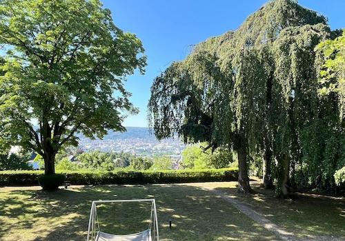 Panorama Garten