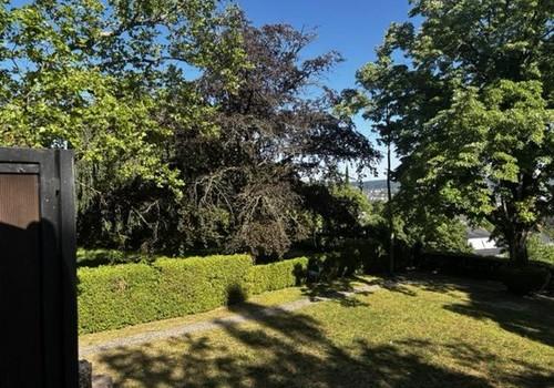 Blick in den Park