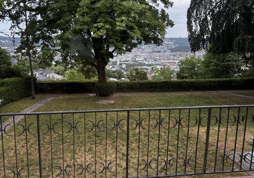 Blick in der Garten