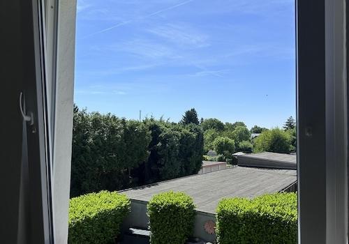 Ausblick