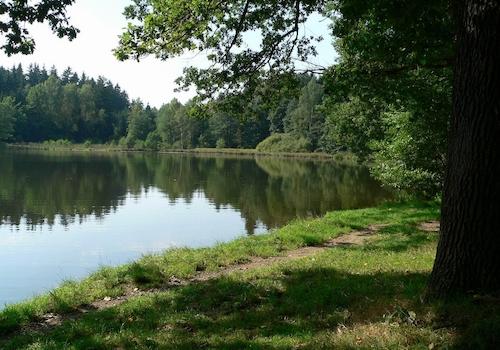15min Fussweg zum Teich