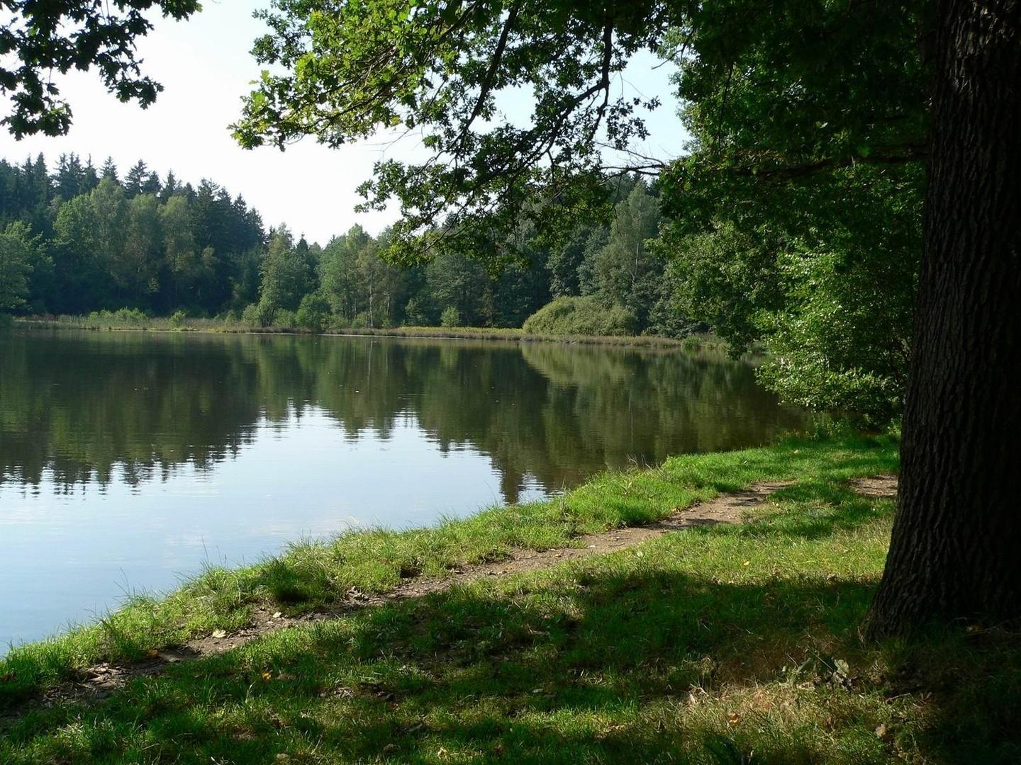 15min Fussweg zum Teich