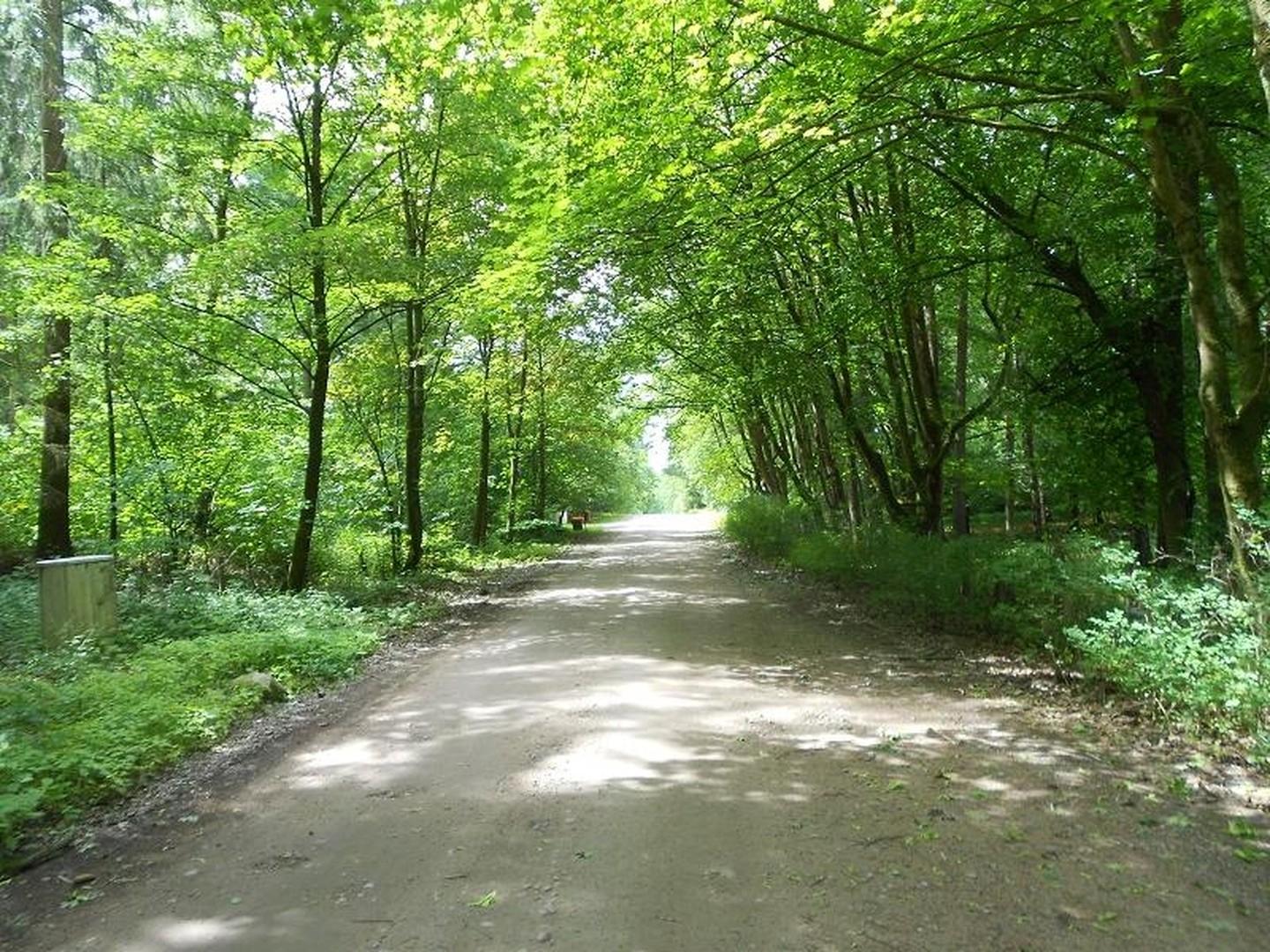 Alter Postweg