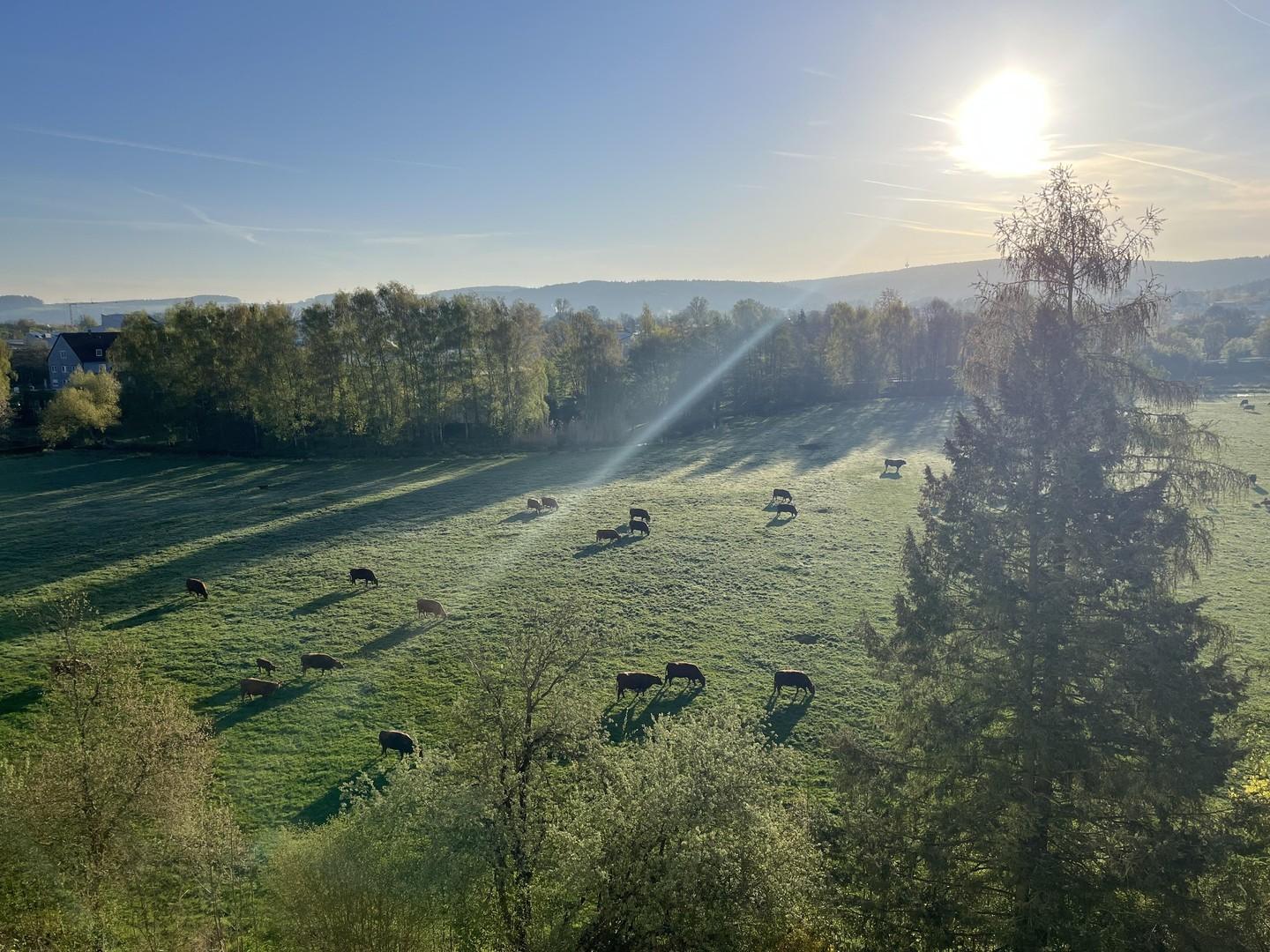 Aussicht