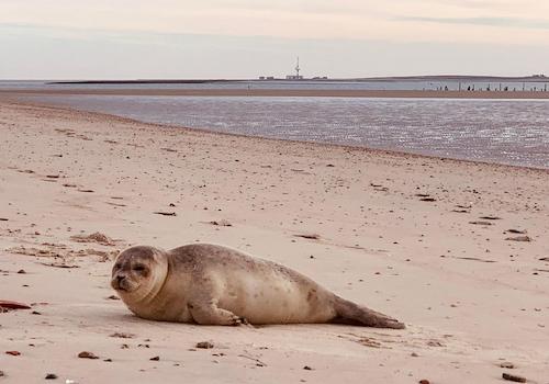 Wangerooge Strand