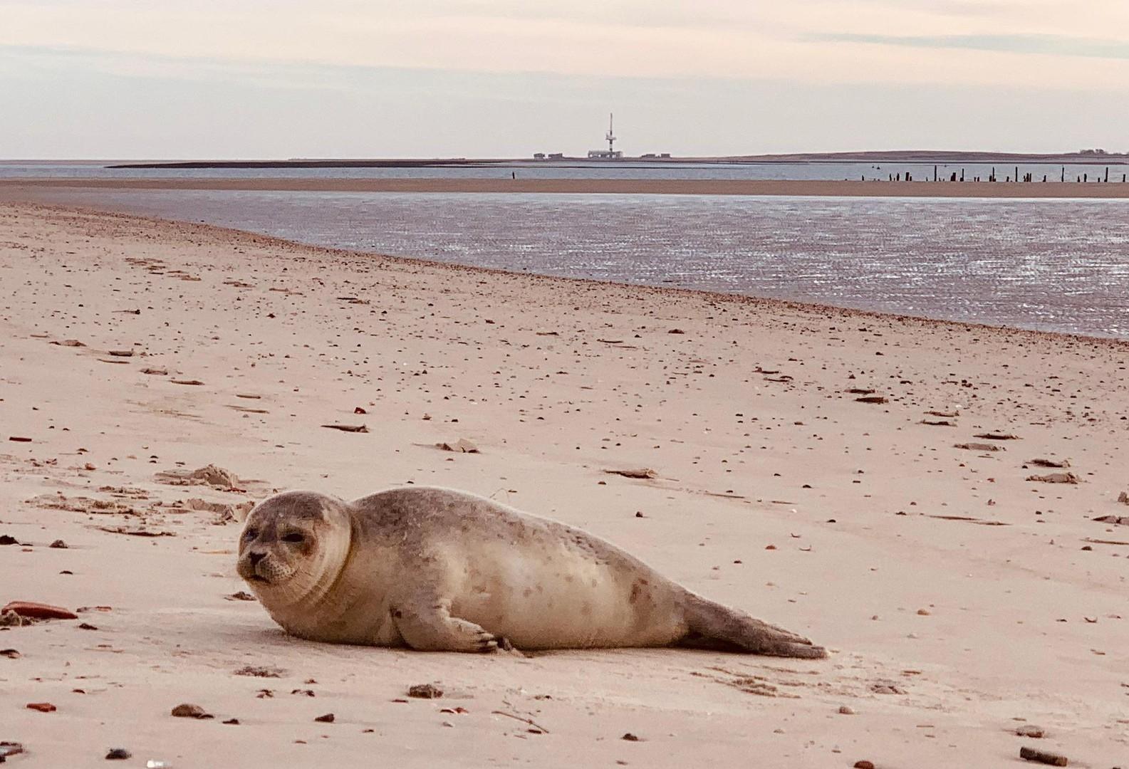 Wangerooge Strand