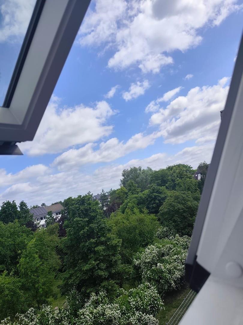 Blick zum Hof 
