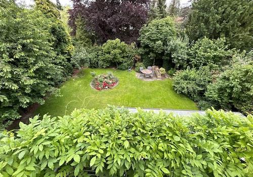 Blick in der Garten