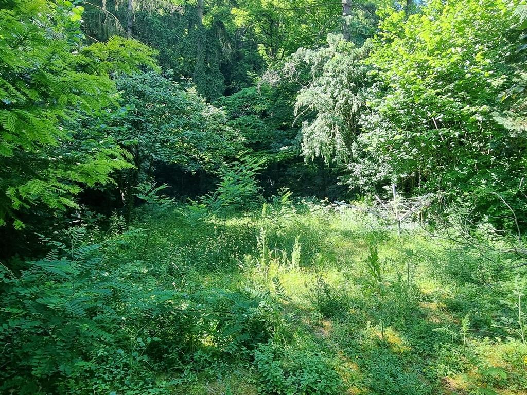 Garten II