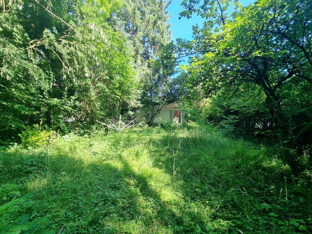 Garten III
