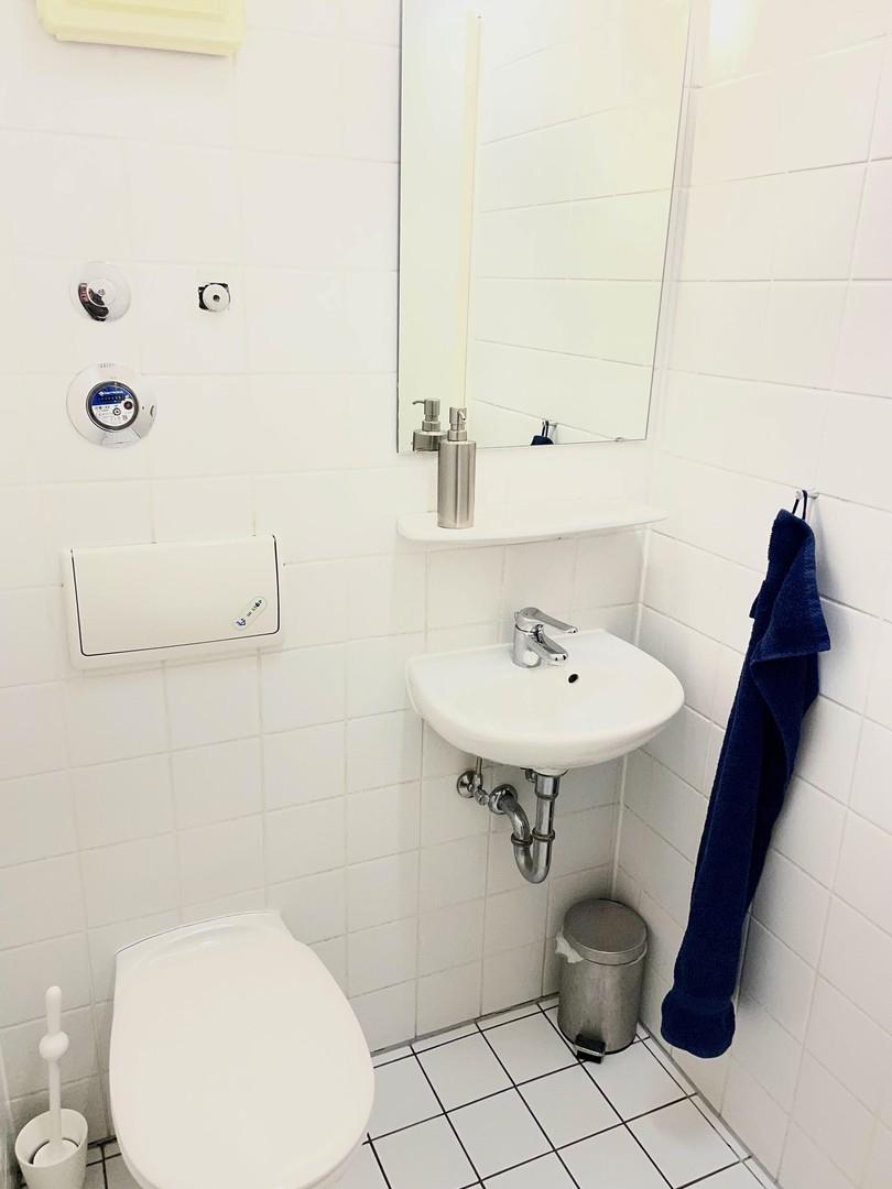 Innenansicht: WC