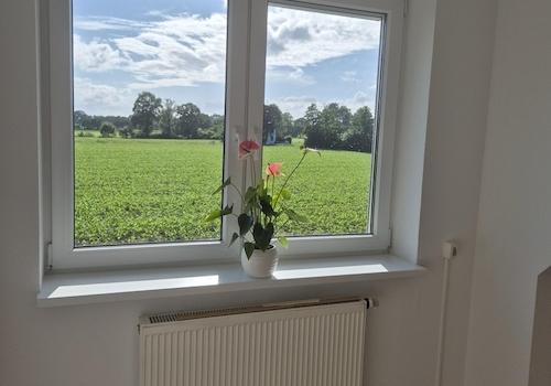2. Zimmer OG