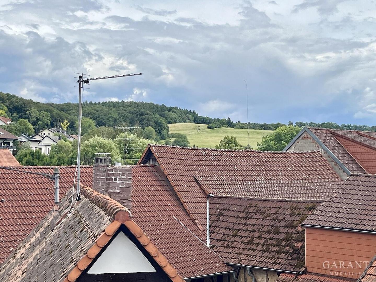 Blick v. Dachboden