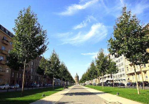 Grüne Allee direkt vor der Tür