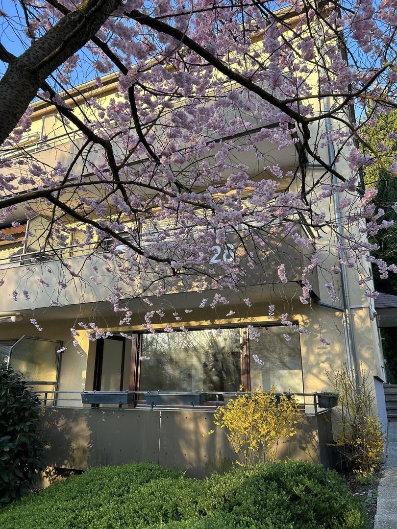 Außenansicht Balkon