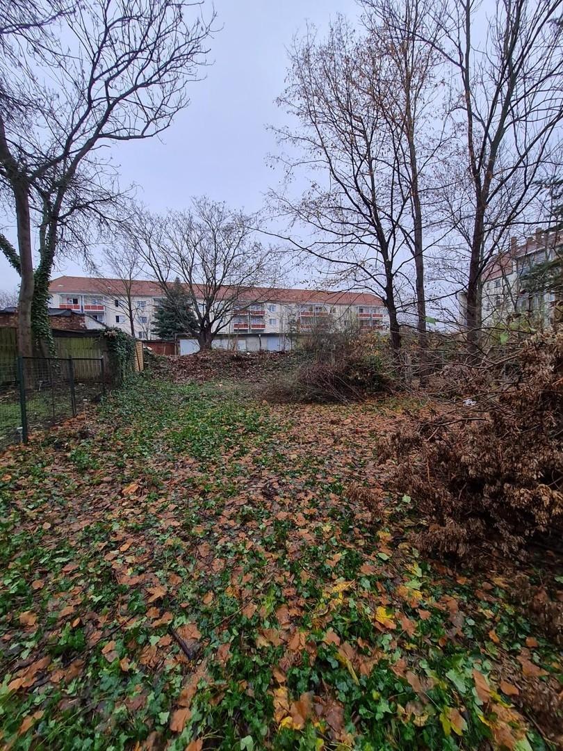 Garten (hinter dem Haus)