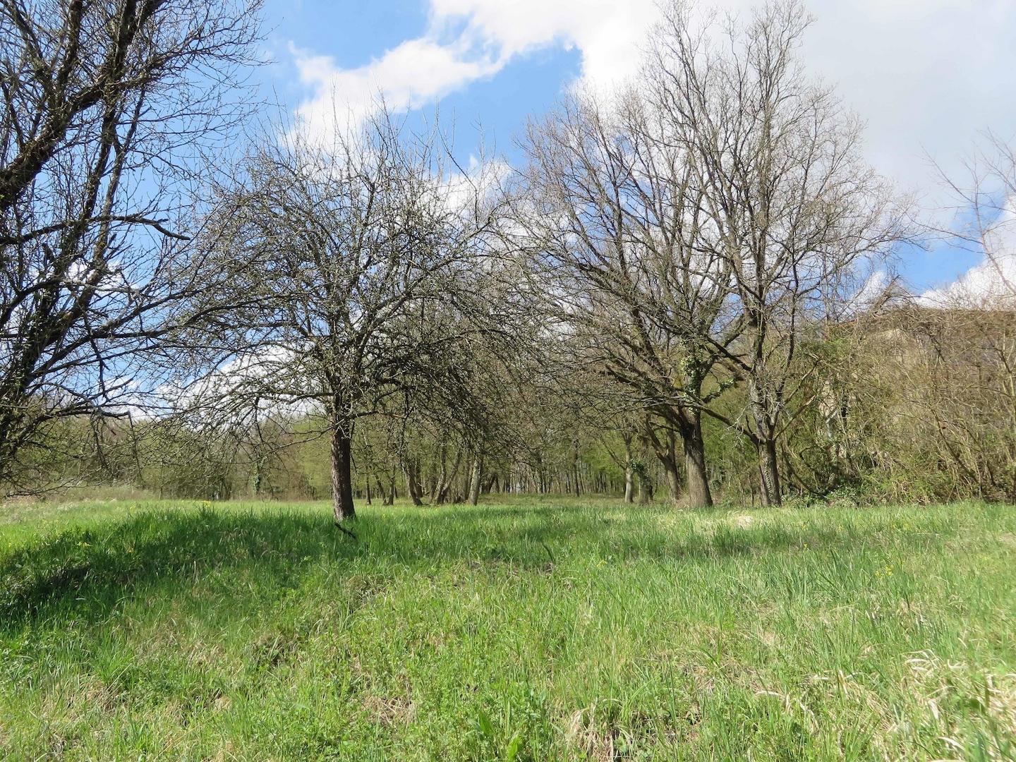 Blick aufs Grundstück