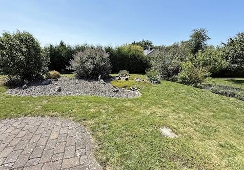 Blick in den Garten
