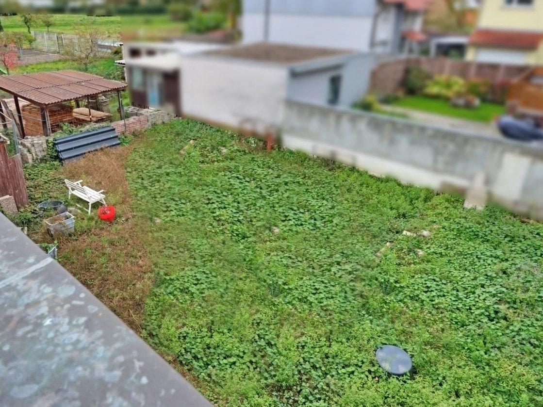 Blick in den Garten