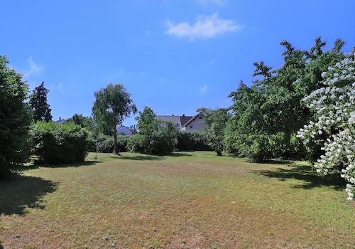 Blick in den großen Garten