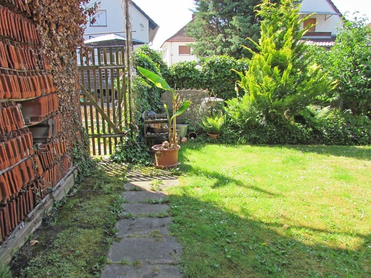 Blick in den Garten