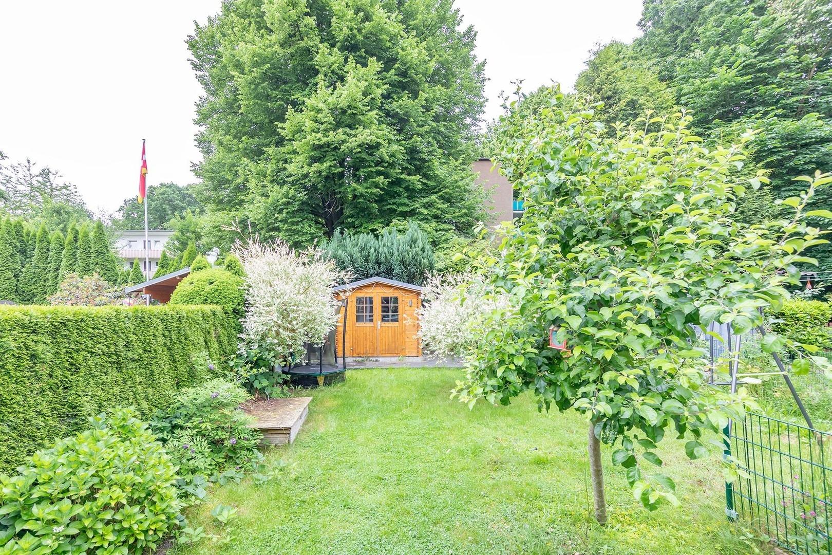 Blick in den Garten