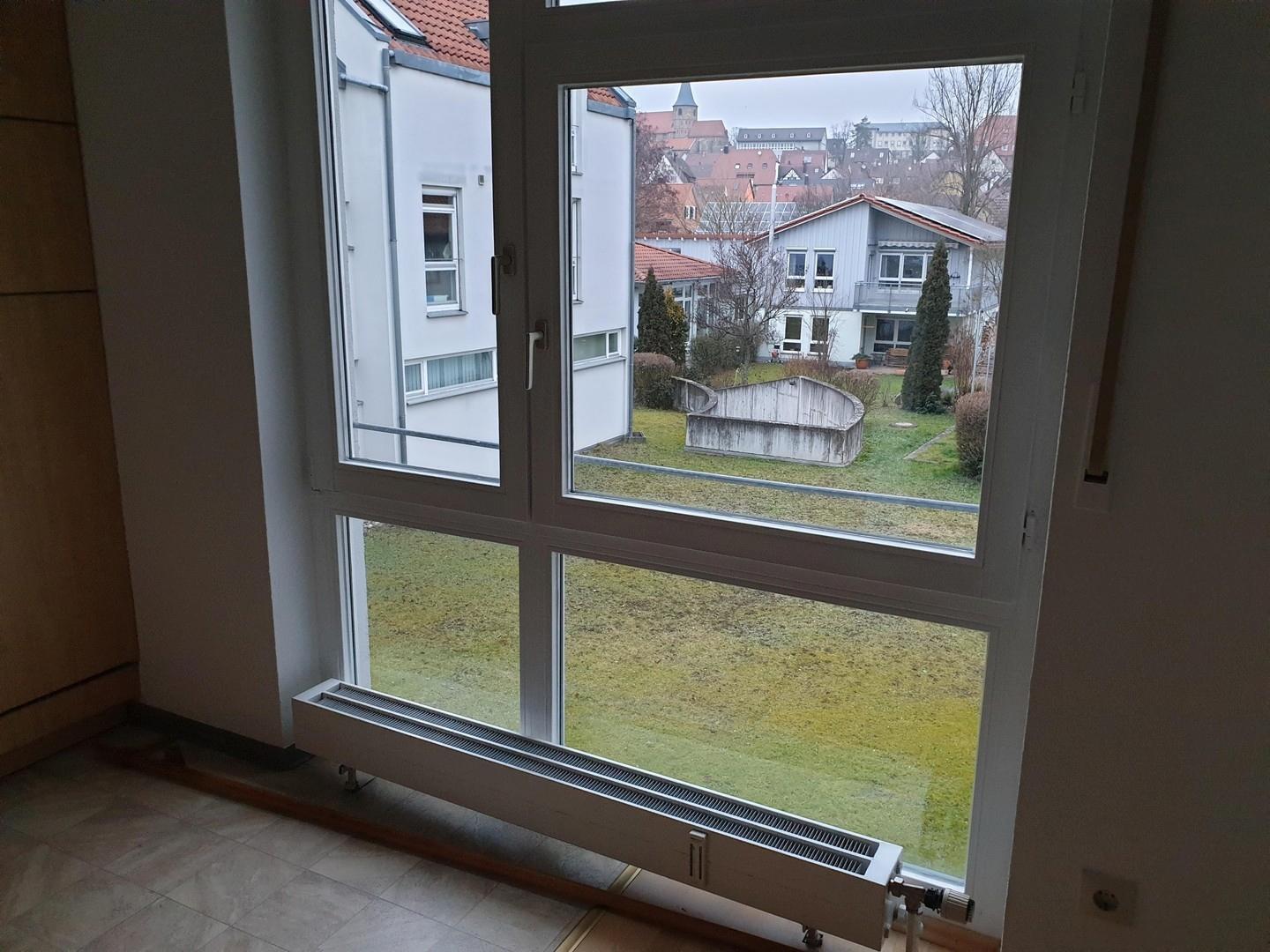 Blick zum Garten