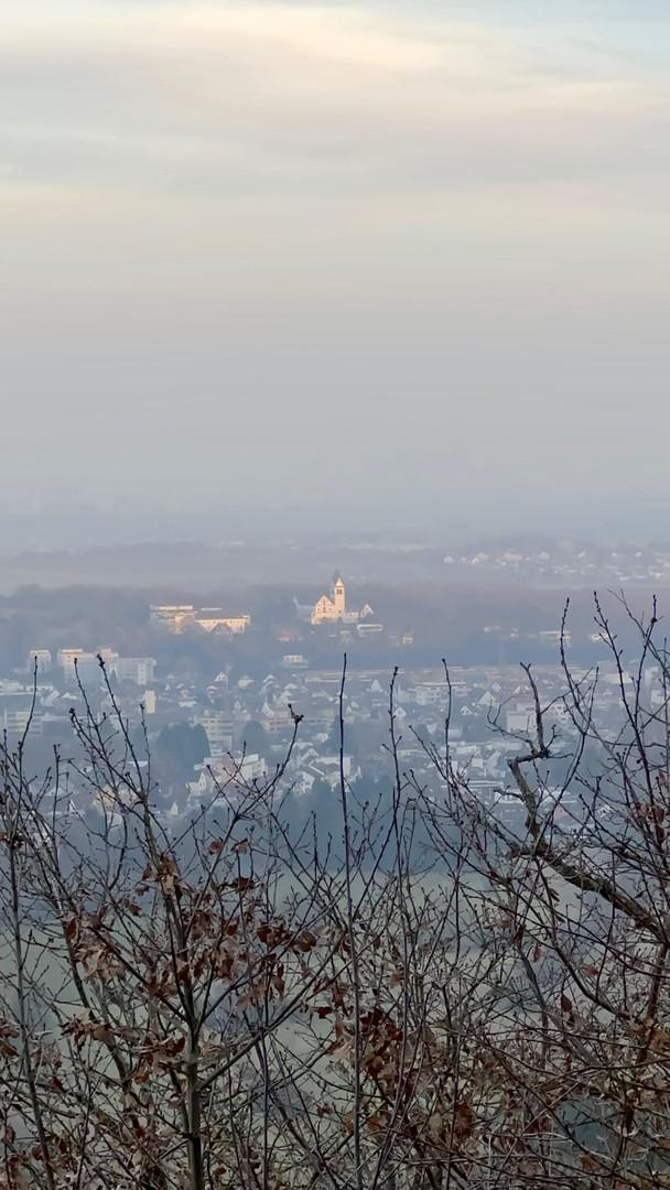 Fernblick