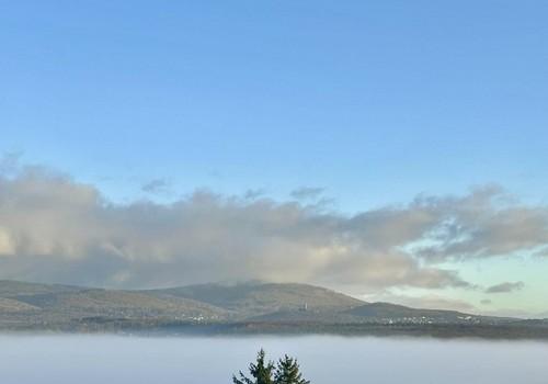 Fernblick
