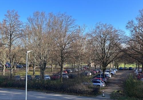Weitblick