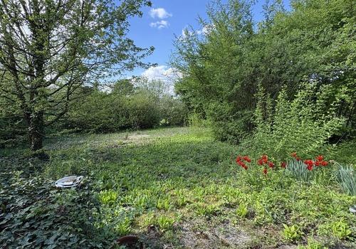 Herrlicher Garten