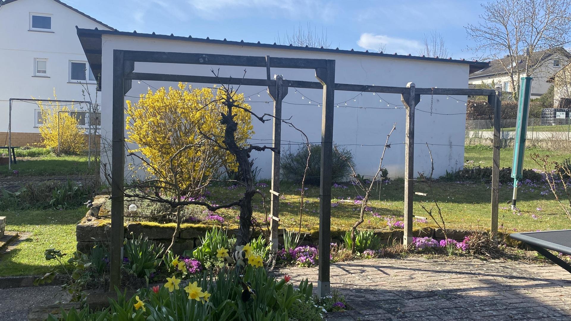 Gartenansicht